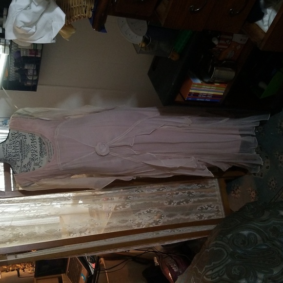 Victorian Trading Company Hopeless Romantic Victorian Pink Chiffon Dress - Picture 7 of 10